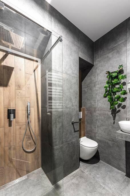 Apartment Krakowskie30 Loft1 Deptak Lublin