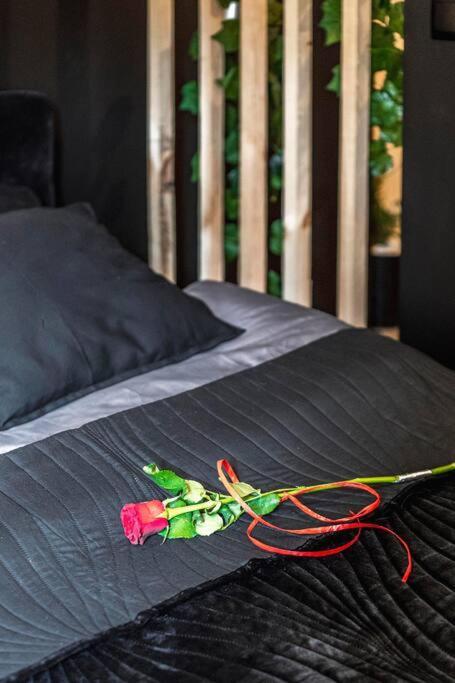 Krakowskie30 Loft1 Deptak Апартаменти *