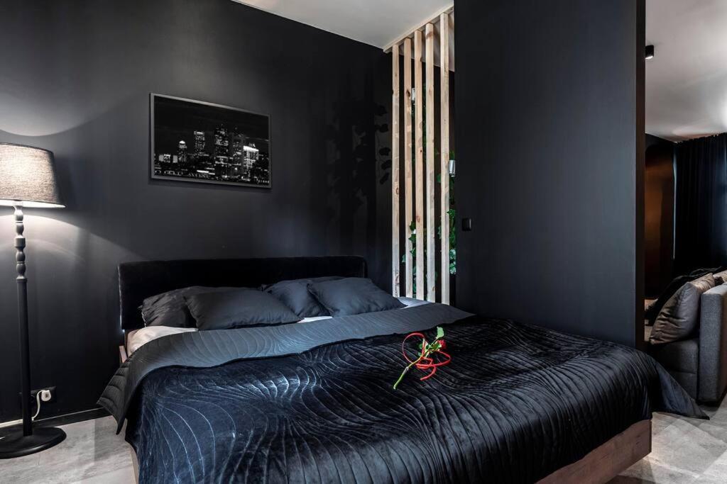 Krakowskie30 Loft1 Deptak