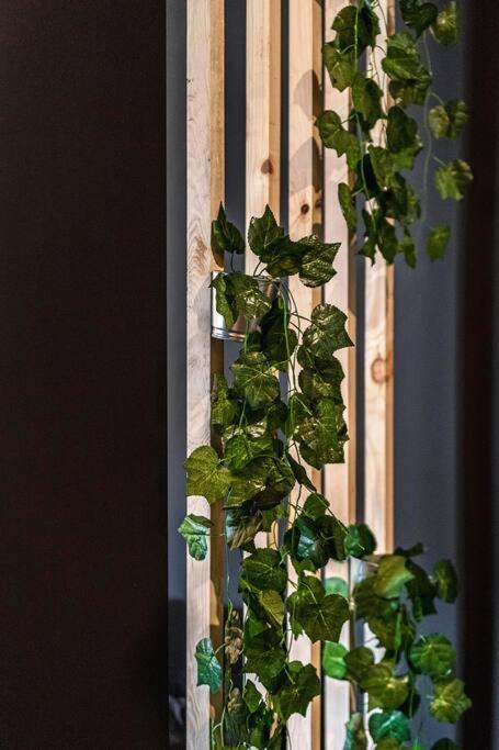 Апартаменти Krakowskie30 Loft1 Deptak *